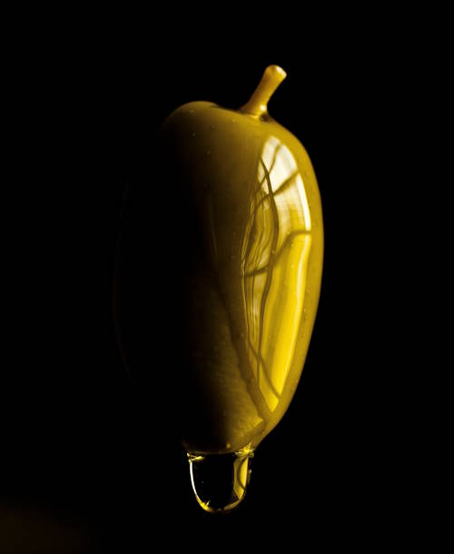 olive500x610.jpg
